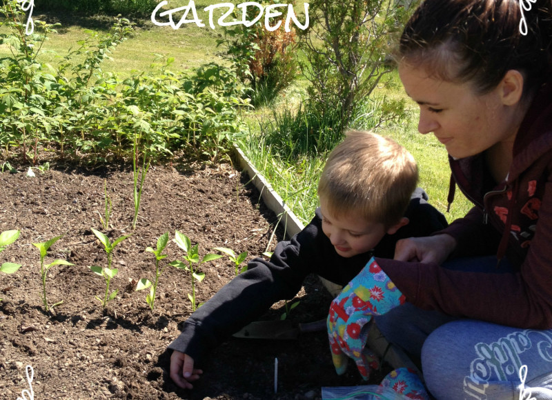 Teaching Kids How to Garden